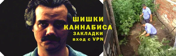 ПСИЛОЦИБИНОВЫЕ ГРИБЫ Белокуриха