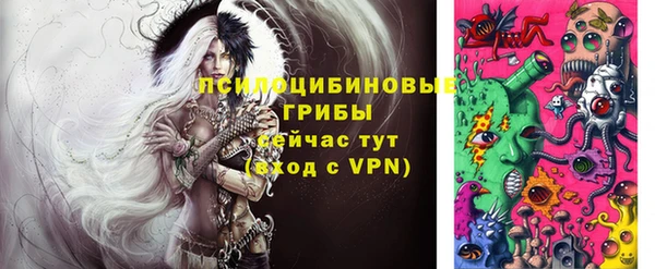 ПСИЛОЦИБИНОВЫЕ ГРИБЫ Белокуриха