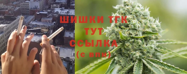 ПСИЛОЦИБИНОВЫЕ ГРИБЫ Белокуриха