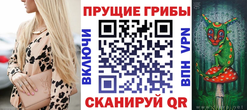 купить  цена  Ворсма  Галлюциногенные грибы мицелий 